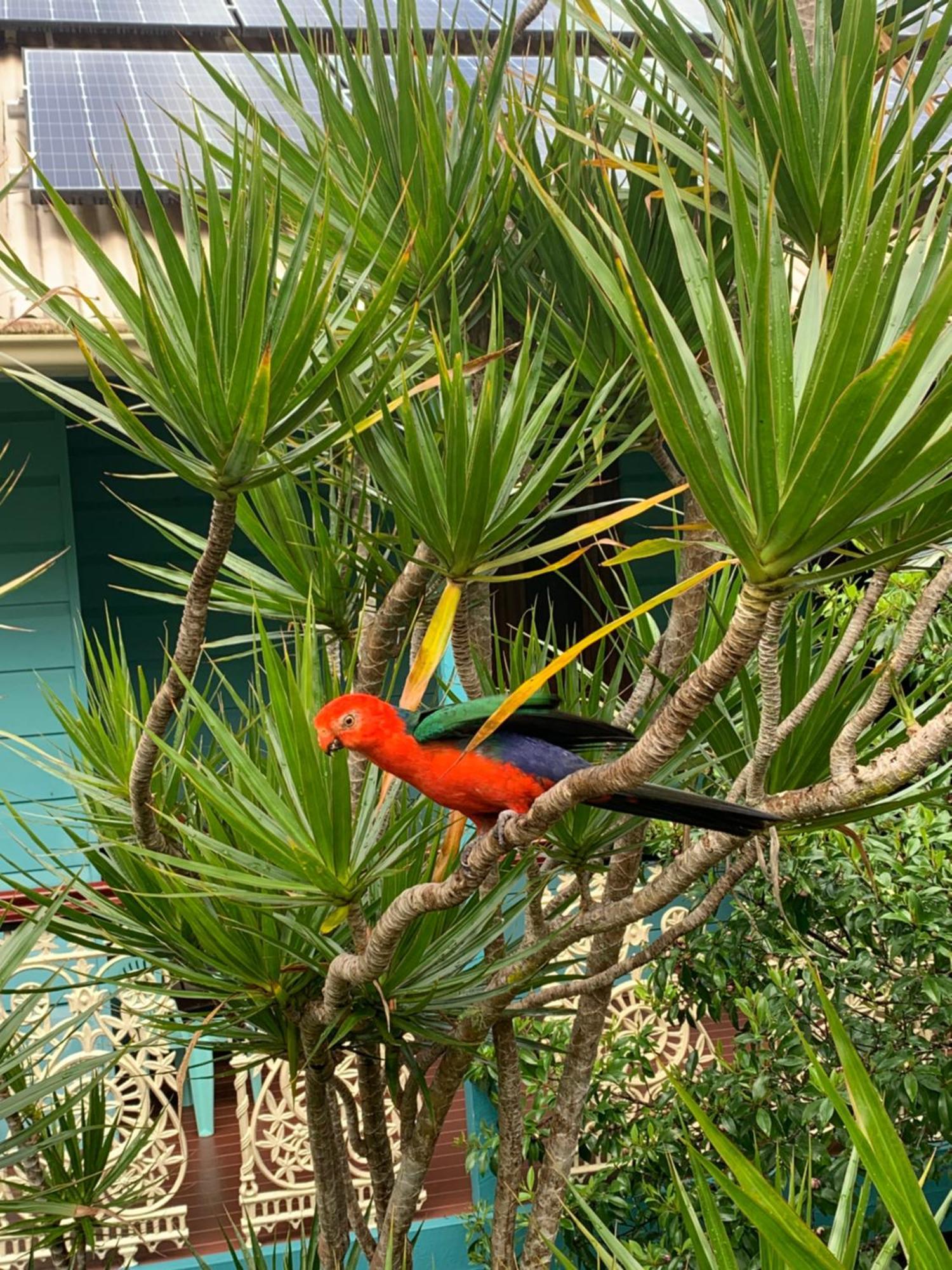 ริเวียรา เบด แอนด์ เบรคฟาสต์ Bed & Breakfast โกลด์โคสต์ ภายนอก รูปภาพ